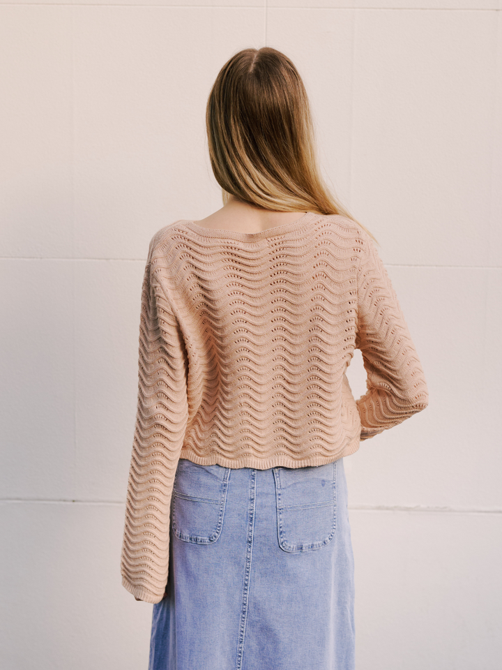 Long Sleeves Beige Oyster Crop Knit
